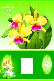 Lịch Tết Đón Xuân HOA TƯƠI